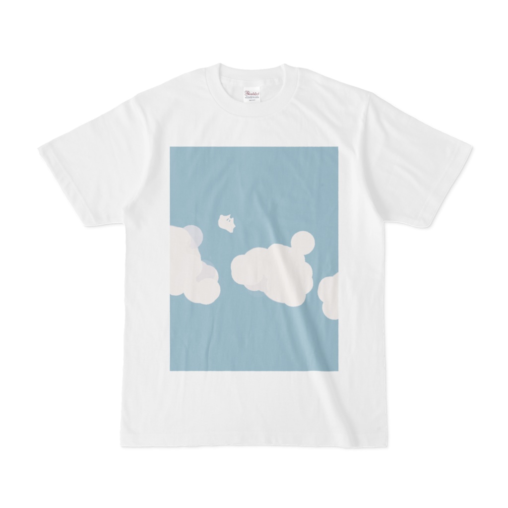 浮遊T