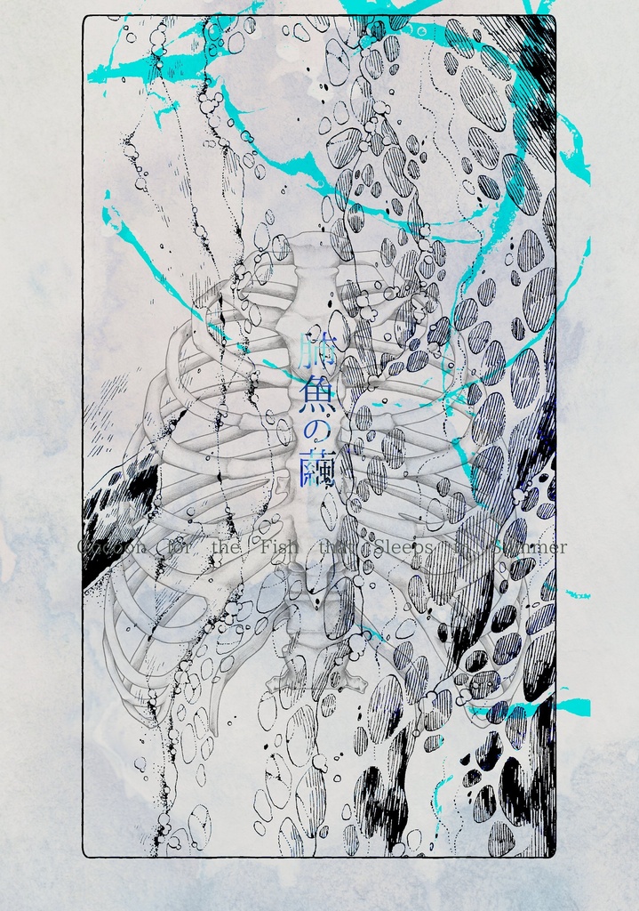 肺魚の繭