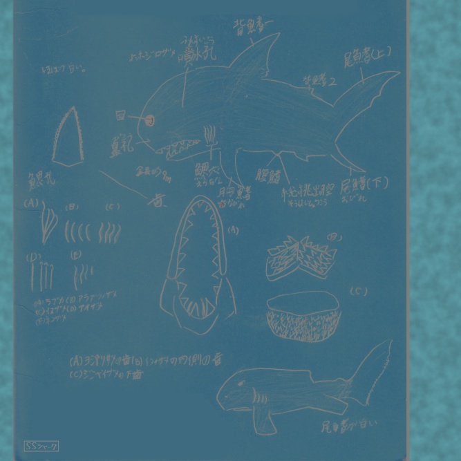 サメの図(SSシャーク&ボスエヌ合作)その1Green手帳型Androidケース - M - ストラップ穴 なし