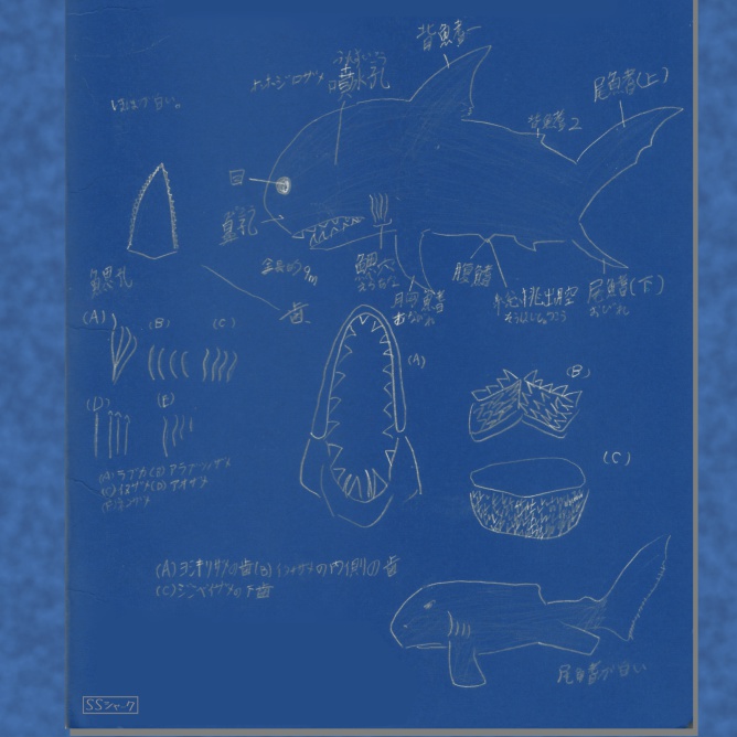 サメの図(SSシャーク&ボスエヌ合作)その1Blue手帳型Androidケース