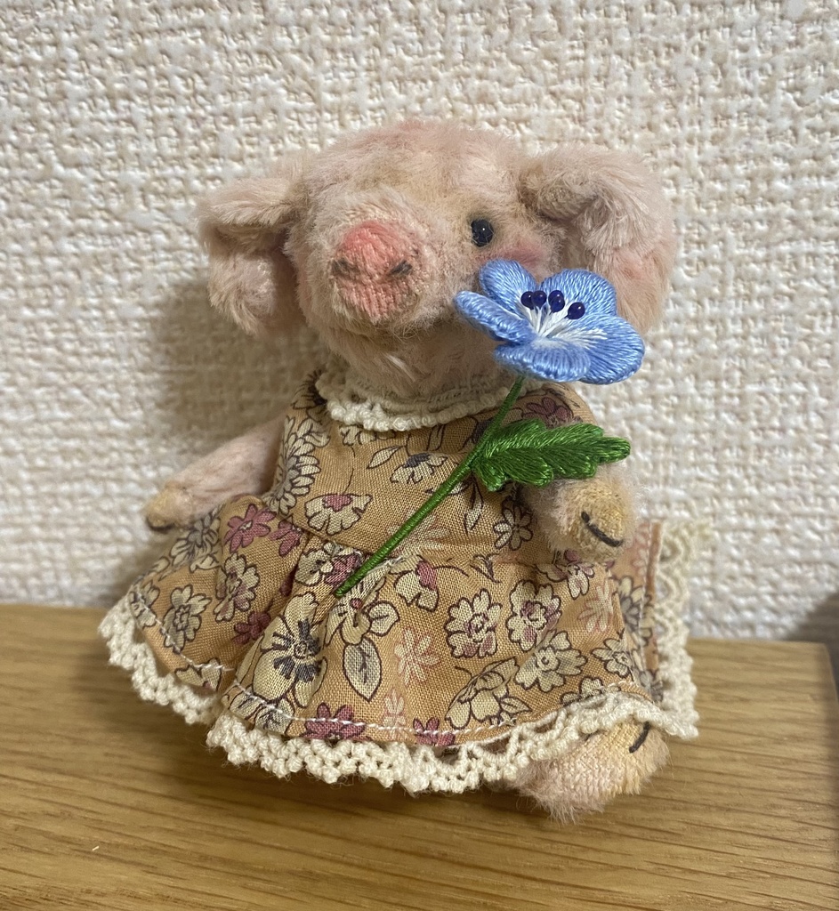 ネモフィラ(大)