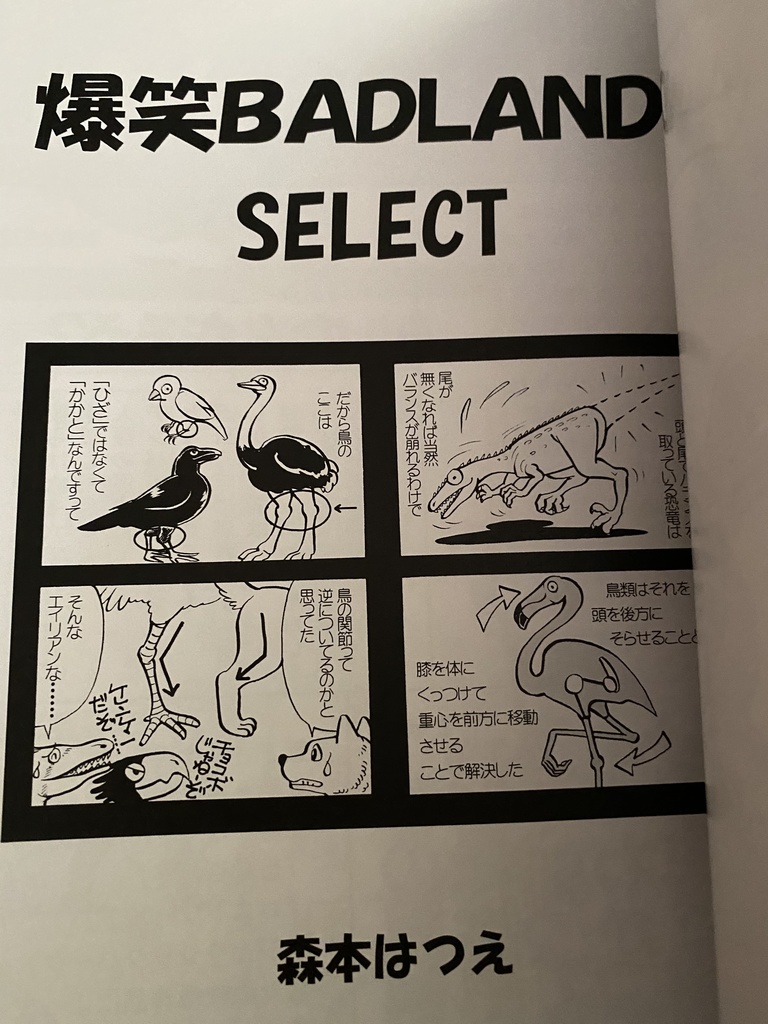 爆笑BADLAND SELECT