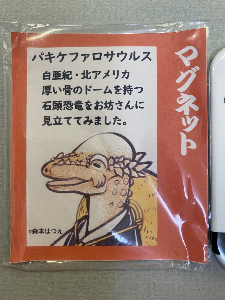 パキケファロサウルス僧侶マグネット