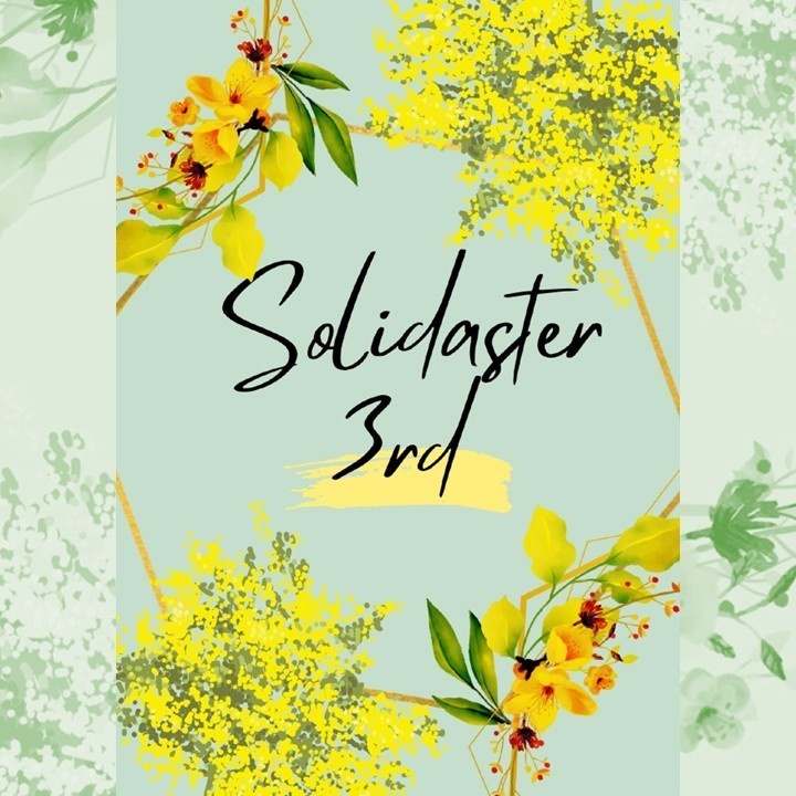 クイズ大会〈Solidaster 3rd〉公式記録集