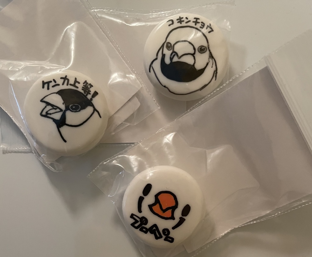 直筆マグネット3（フィンチ3種盛り）
