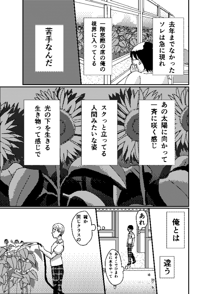 ひまわりと太陽【BL漫画】