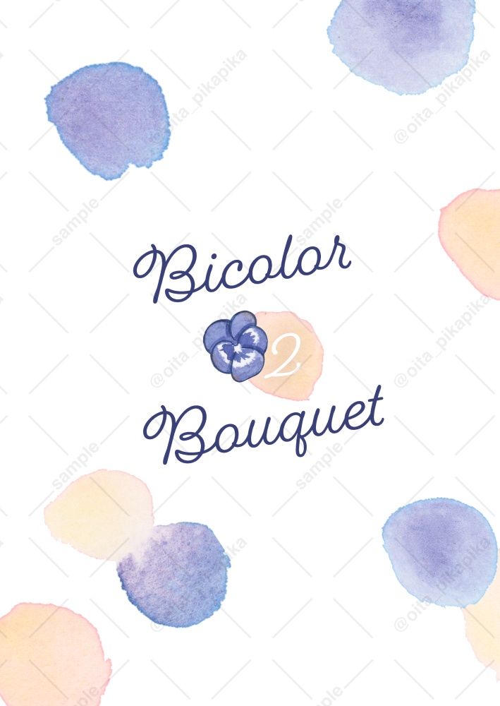 Bicolor Bouquet2【名古屋コミティア66新刊】
