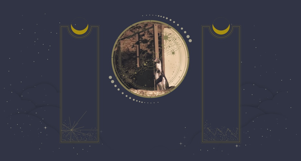 ココフォリアの部屋が作れるセット