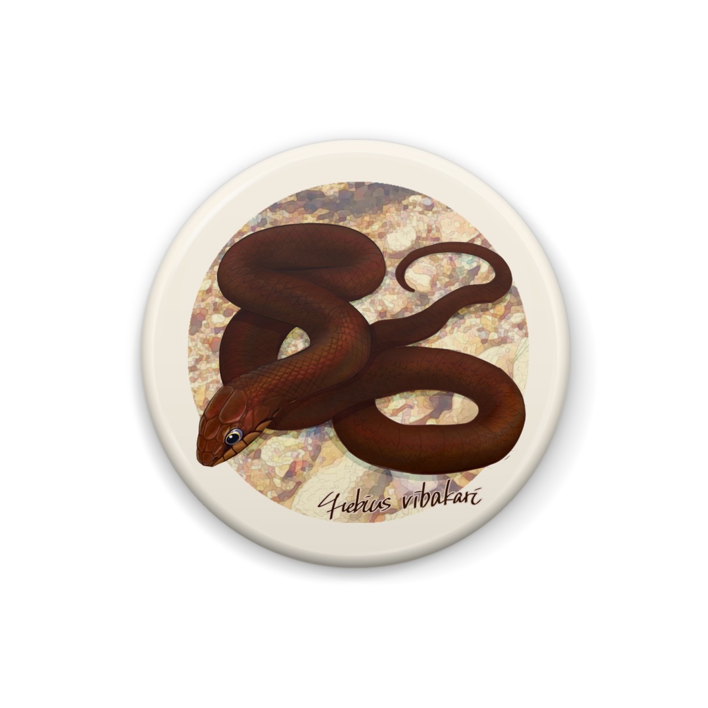 ヒバカリ 缶バッチ