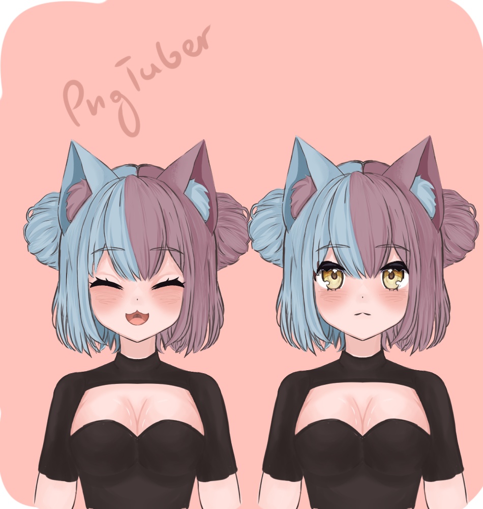 Cute-catgirl【PNGTuber】vtuber , stream avatar - genshop - BOOTH