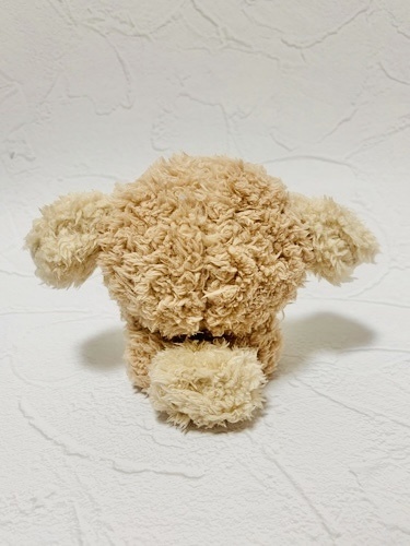 ๐ญใใใใใใใใใ๐ถ