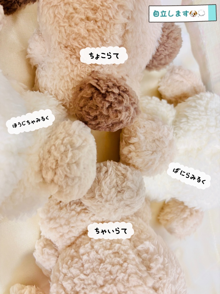 ๐ซง๐ญไบไปฃ็ฎใใใใ๐ถใใ๐ญ๐ซง