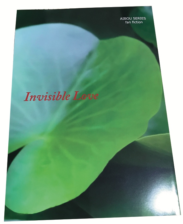 Invisible Love