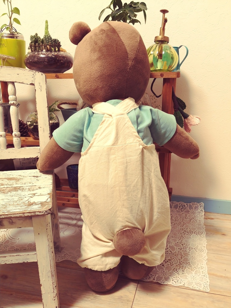 クマちゃん坊や