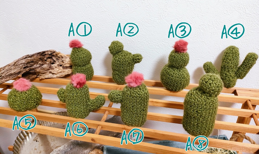 やさしみサボテンず【Aタイプ】