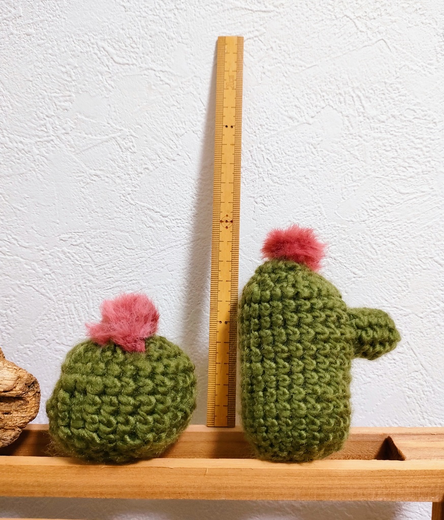 やさしみサボテンず【Aタイプ】