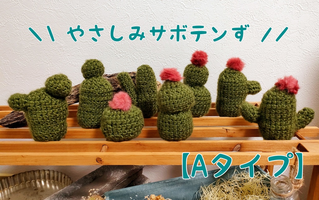 やさしみサボテンず【Aタイプ】