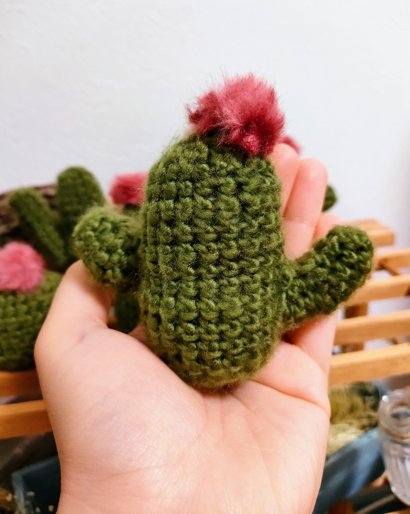 やさしみサボテンず【Aタイプ】