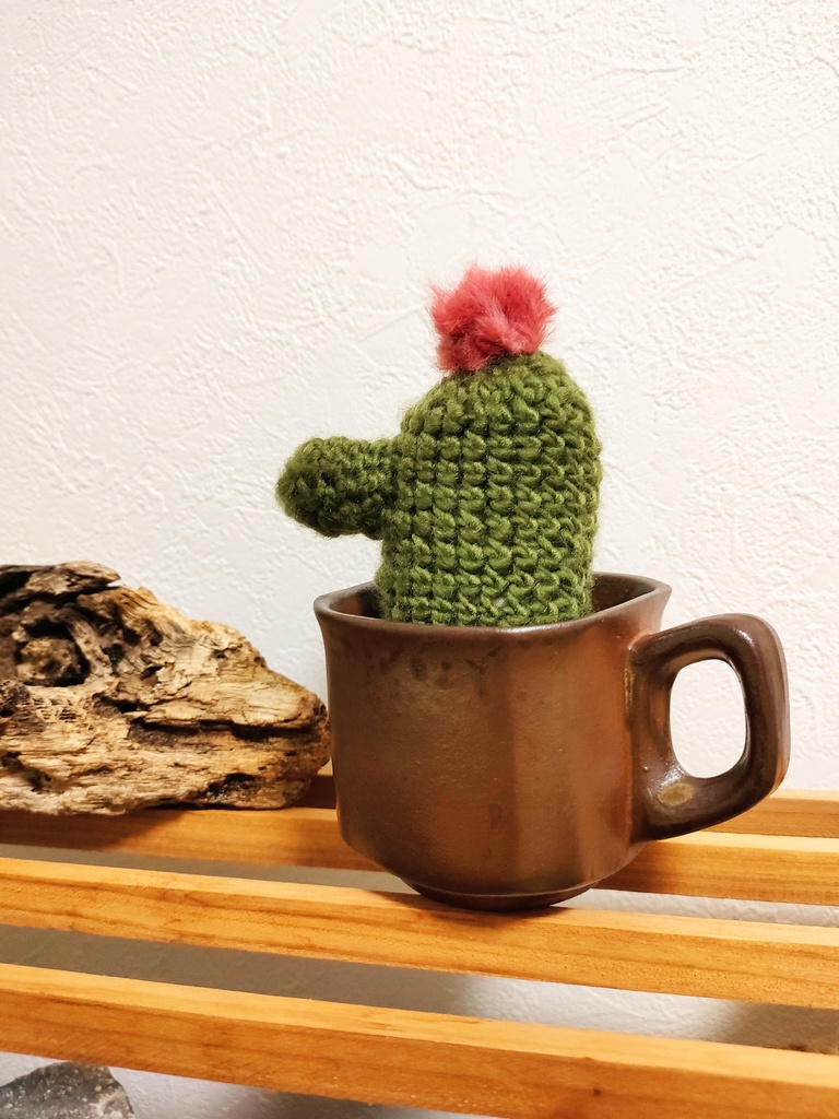 やさしみサボテンず【Aタイプ】