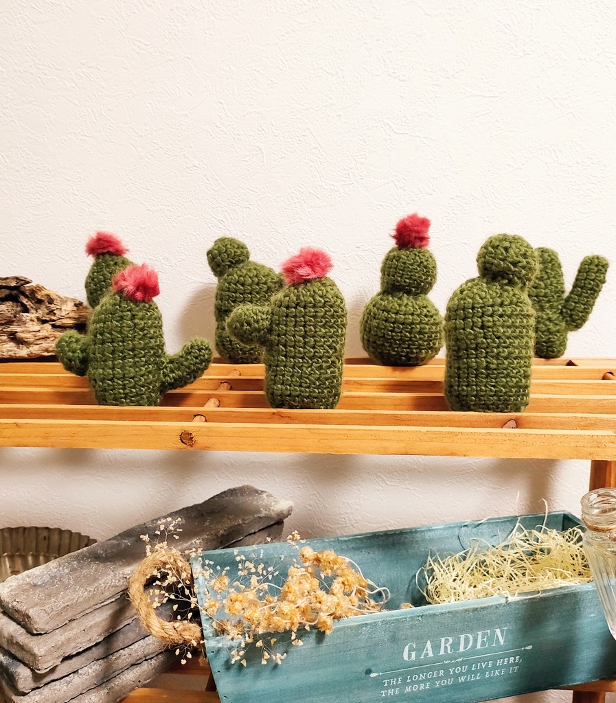 やさしみサボテンず【Aタイプ】