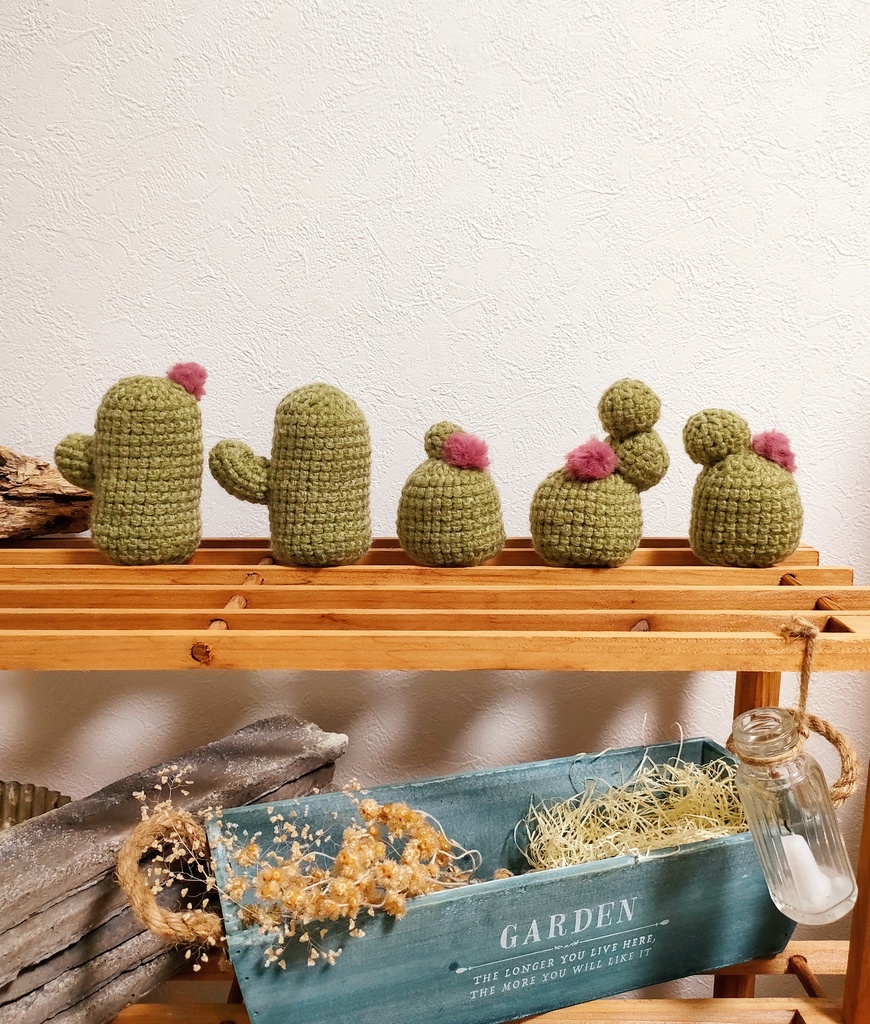 やさしみサボテンず【Cタイプ】