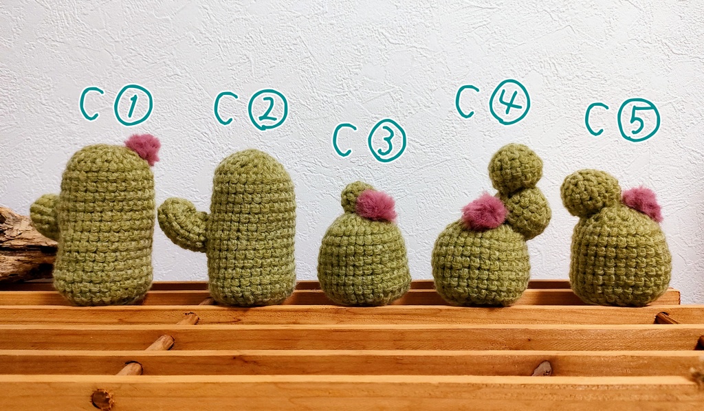 やさしみサボテンず【Cタイプ】