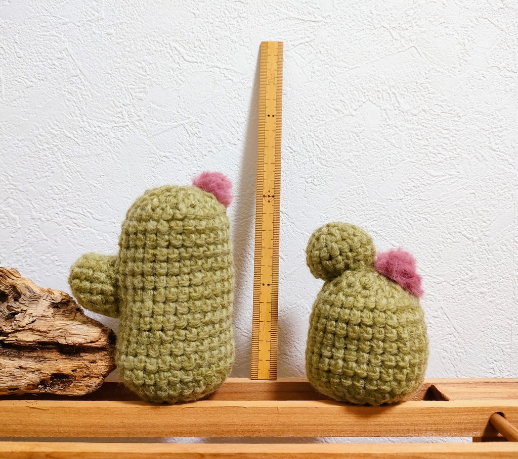 やさしみサボテンず【Cタイプ】