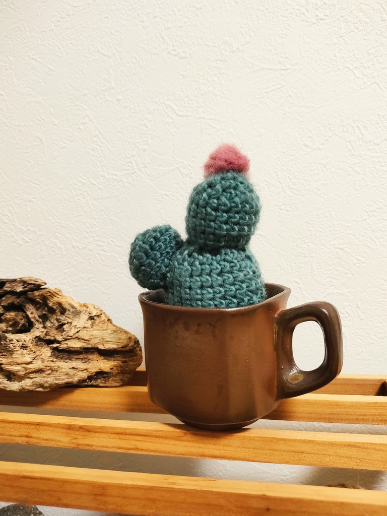 やさしみサボテンず【Dタイプ】