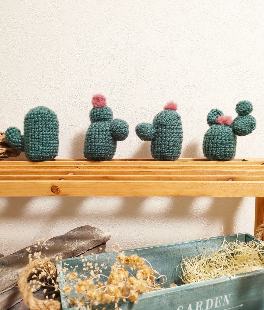 やさしみサボテンず【Dタイプ】