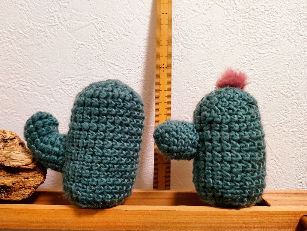 やさしみサボテンず【Dタイプ】