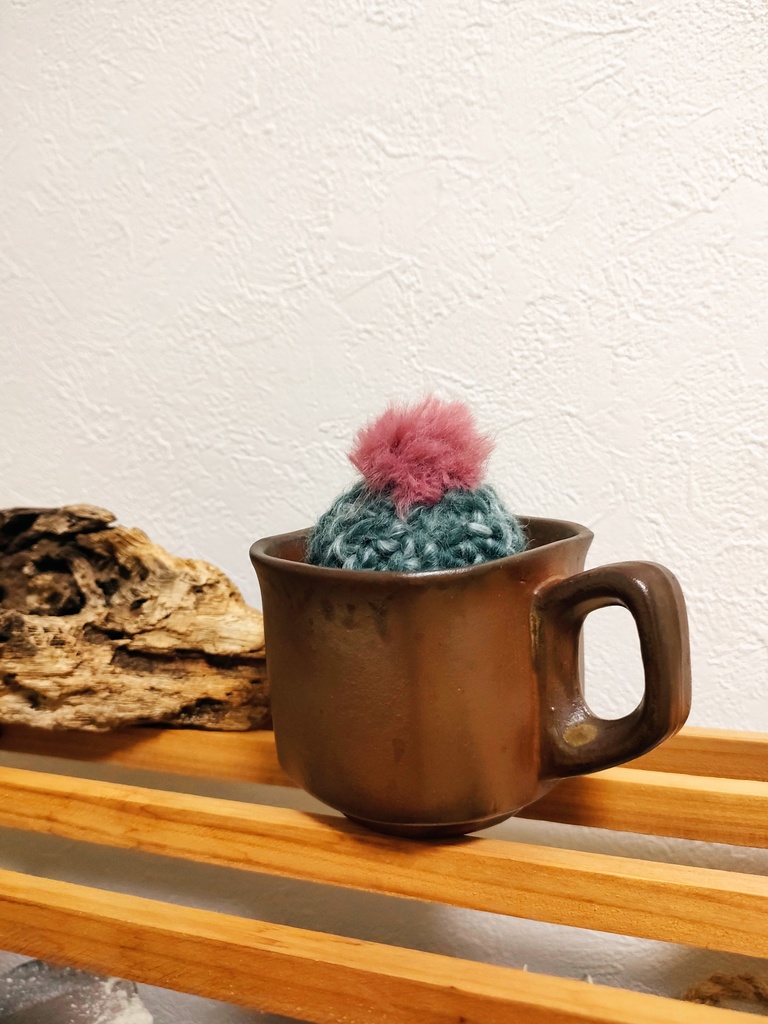 やさしみサボテンず【Eタイプ】