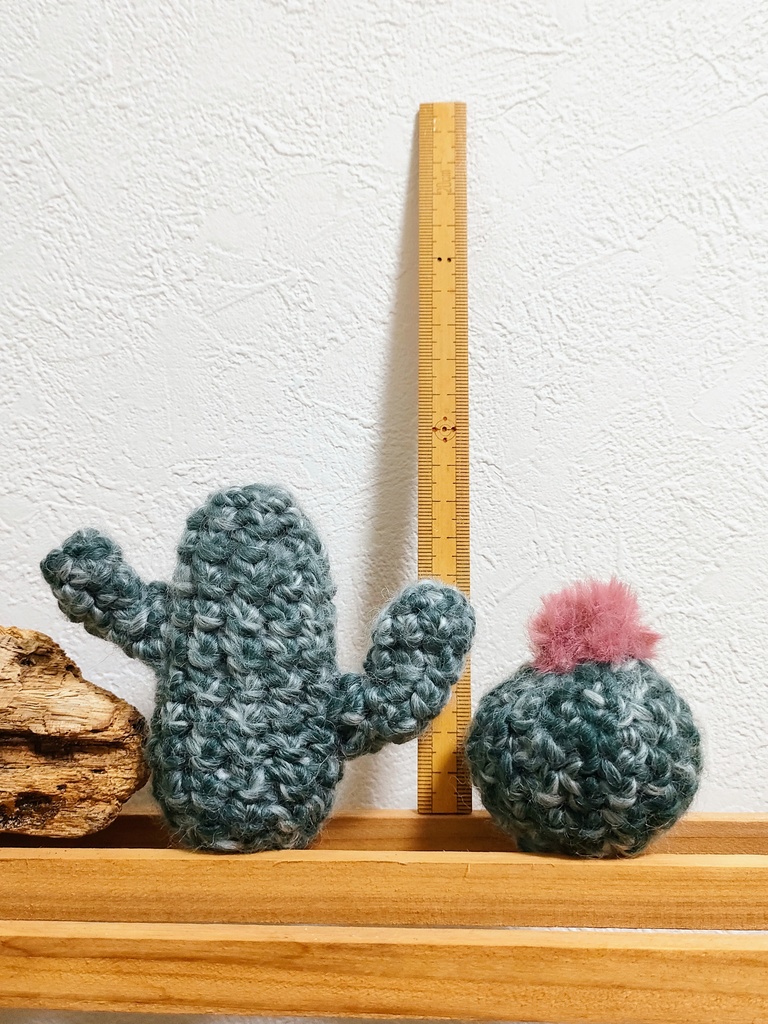 やさしみサボテンず【Eタイプ】