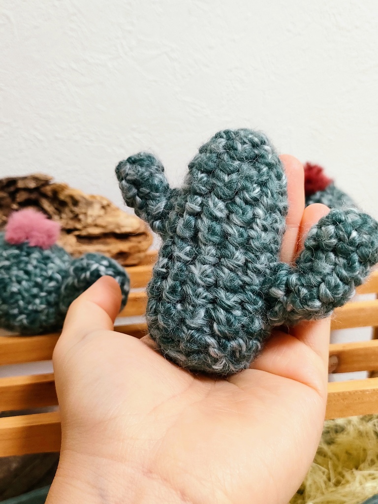 やさしみサボテンず【Eタイプ】