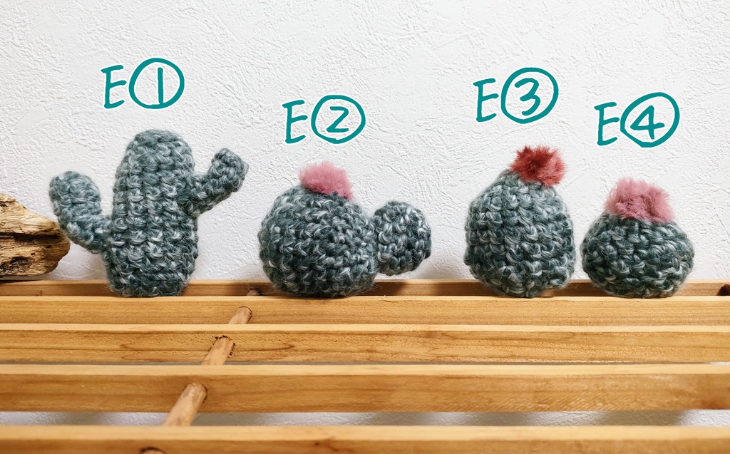 やさしみサボテンず【Eタイプ】