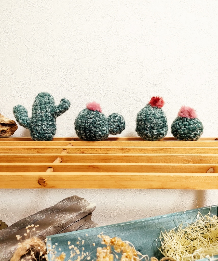 やさしみサボテンず【Eタイプ】