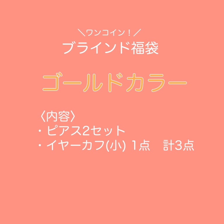 【福袋】ブラインドC