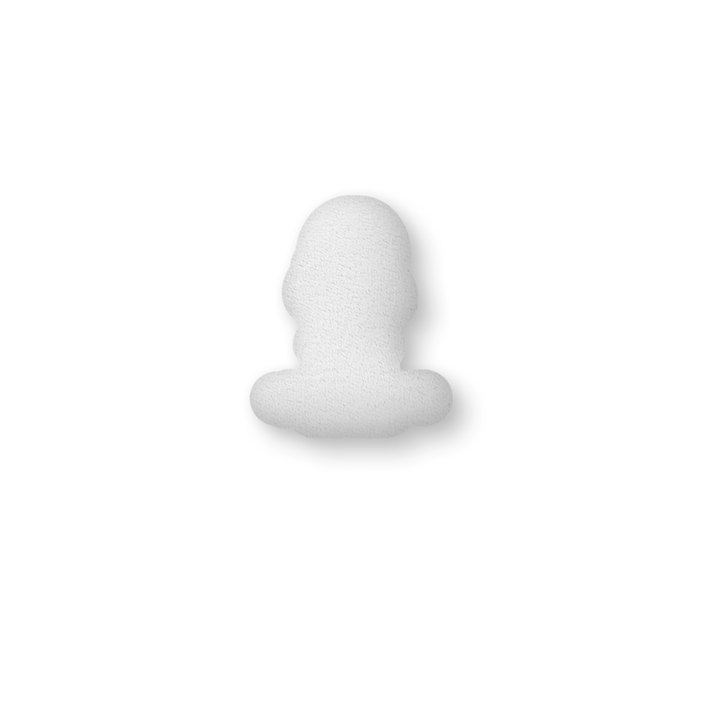 もっちゃんのふわふわクッション1