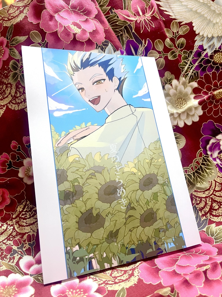 夏のきらめき/木兎光太郎夢小説