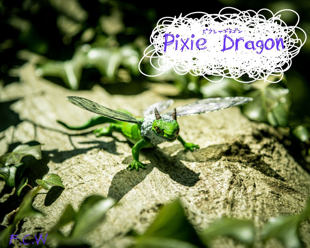 Pixie Dragon~ピクシードラゴン~