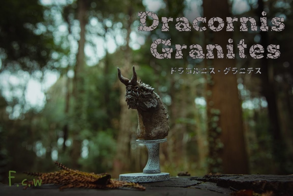 Dracornis granites〜ドラコルニス・グラニテス〜