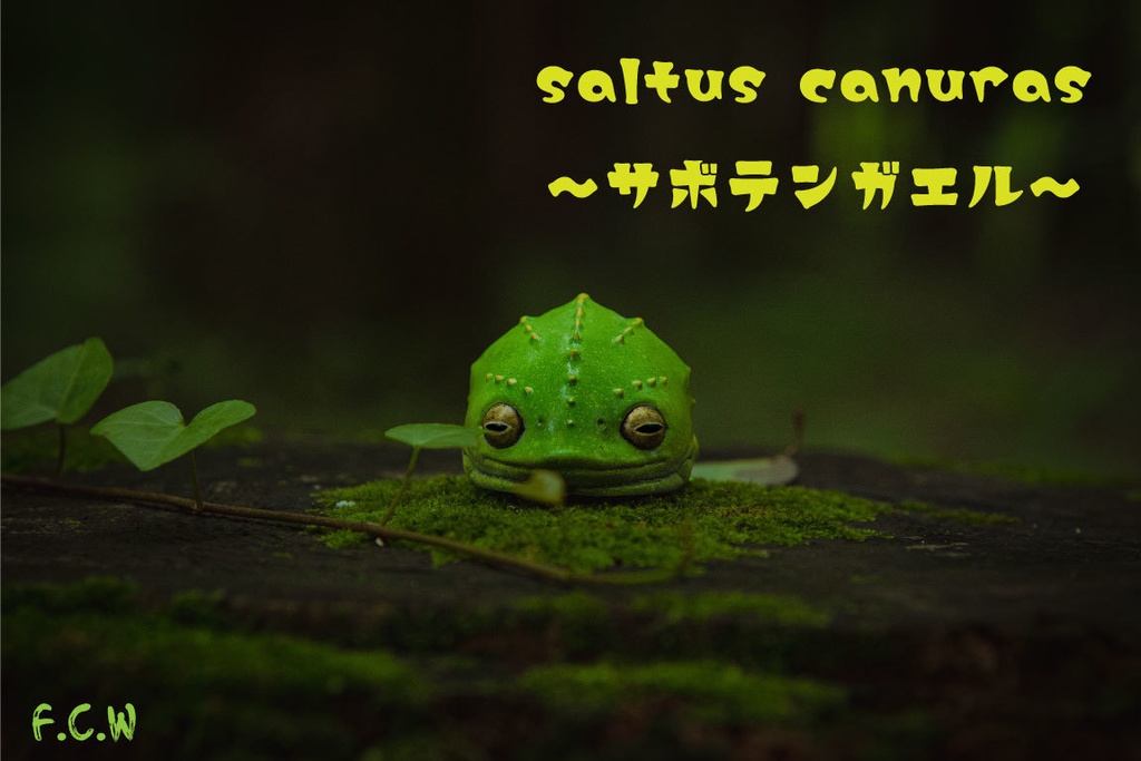 saltus canuras～サボテンガエル～