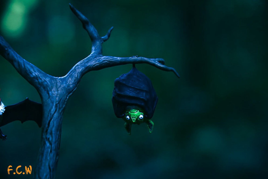 ~Halloween Bat~