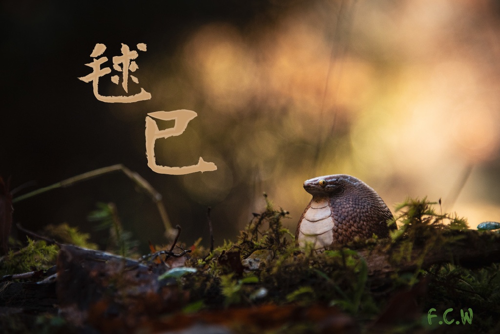 毬巳~マリヘビ~