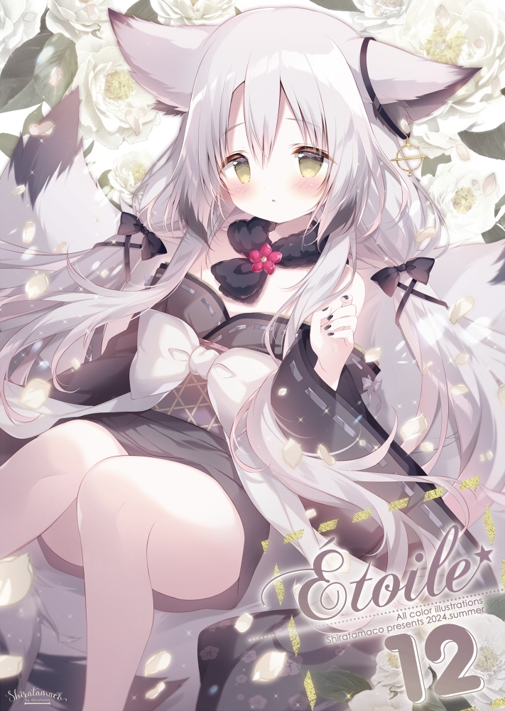【C104】Etoile12【フルカラーイラスト本】