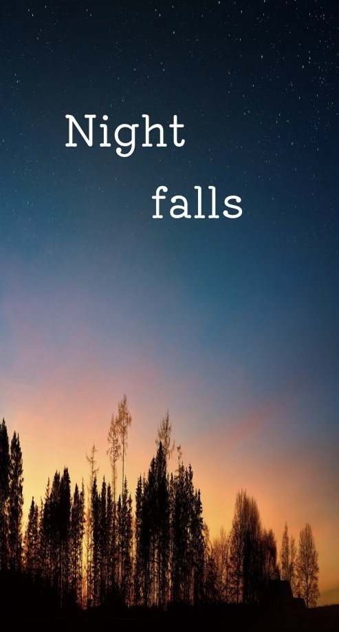 文スト小説再録集「Night falls」