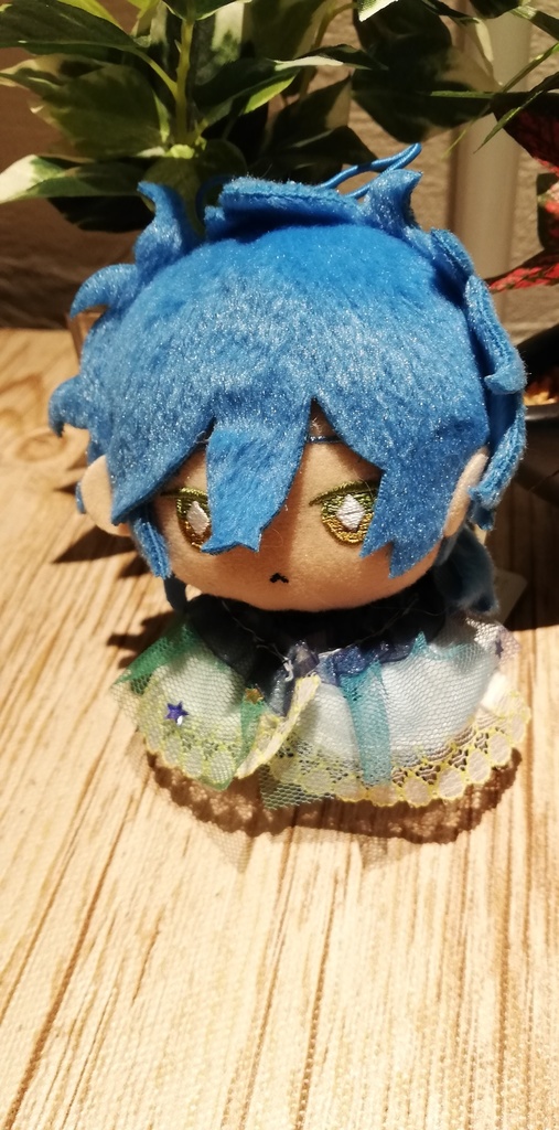 Sサイズ 金魚ちゃんケープ