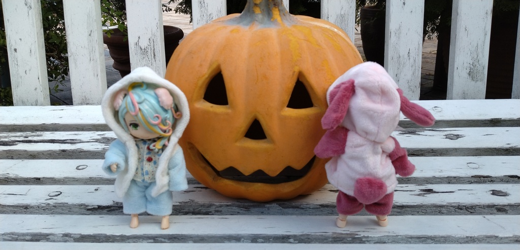 ふわふわアニマルセット ねんどろ・オビツ11