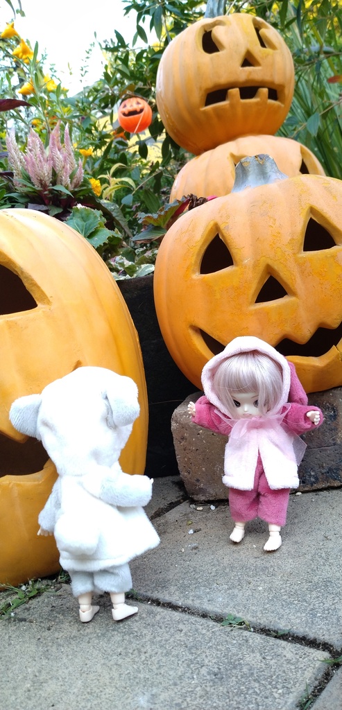 ふわふわアニマルセット ねんどろ・オビツ11