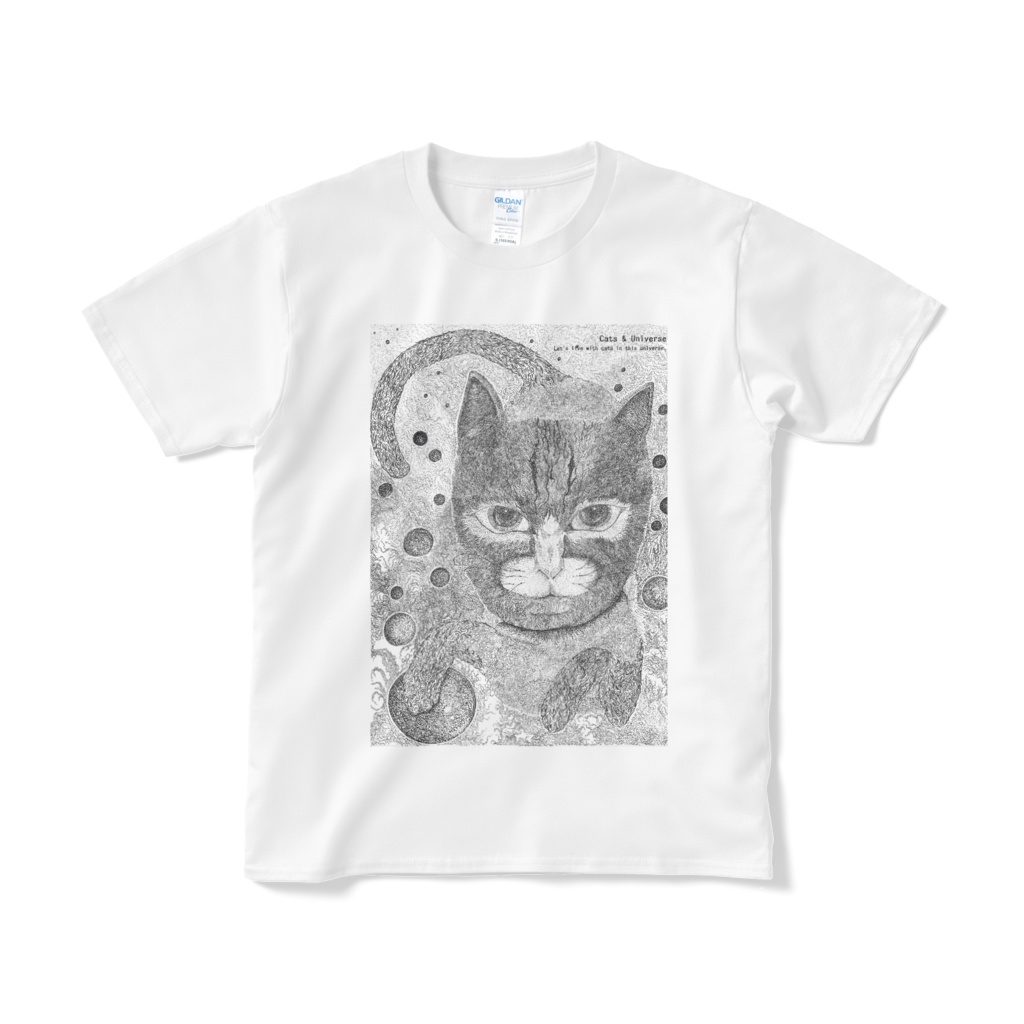 Cats & Universe #1
