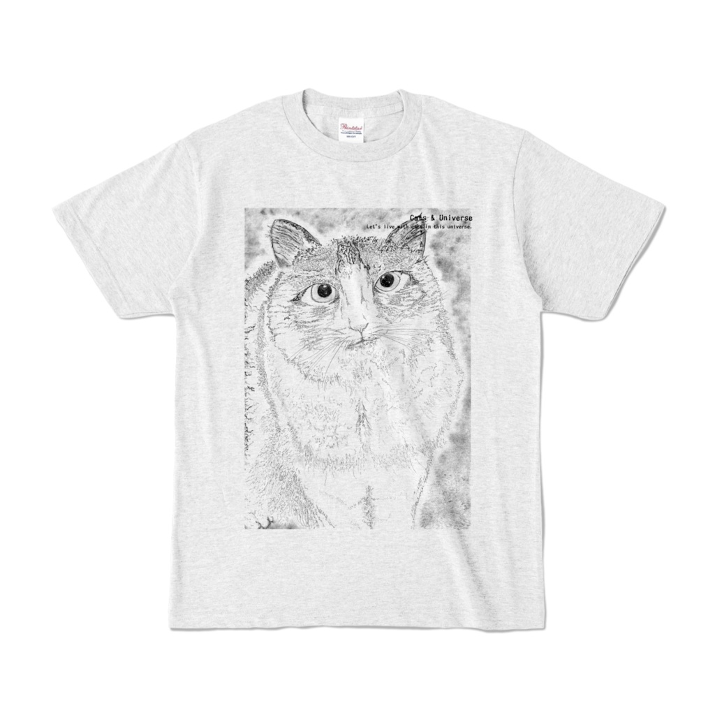 Cats & Universe #2(アッシュ)